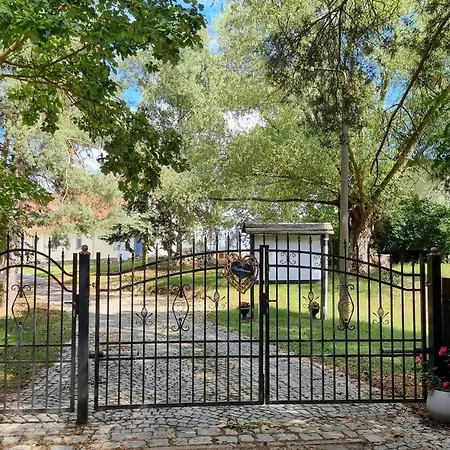 Apartment Pet Friendly